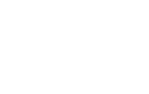 WFS logo